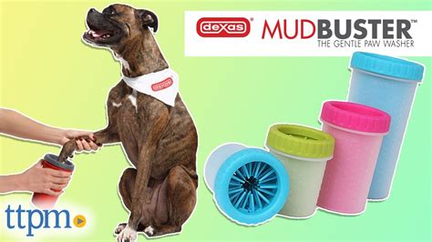 dog mud cleaner|mudbusters for large puppies.